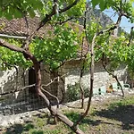 Gasthuis Guesthouse&hostel Lorenc
