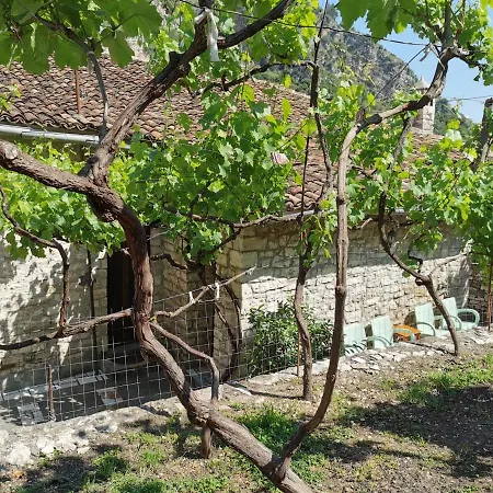 Guest house & Lorenc