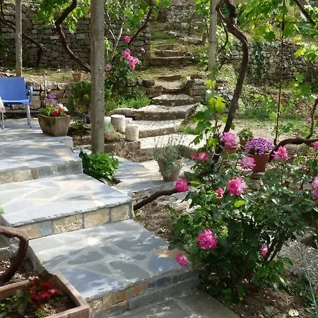 & Lorenc Guest house Berat