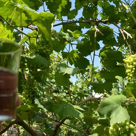 Pensión & Lorenc Berat