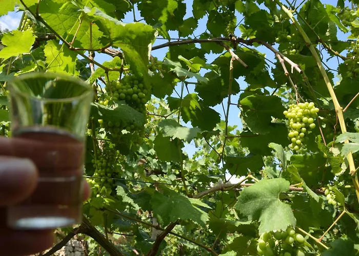 Pensión & Lorenc Berat